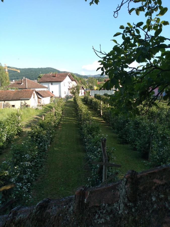 Mala Tara Apartamento Bajina Basta Exterior foto