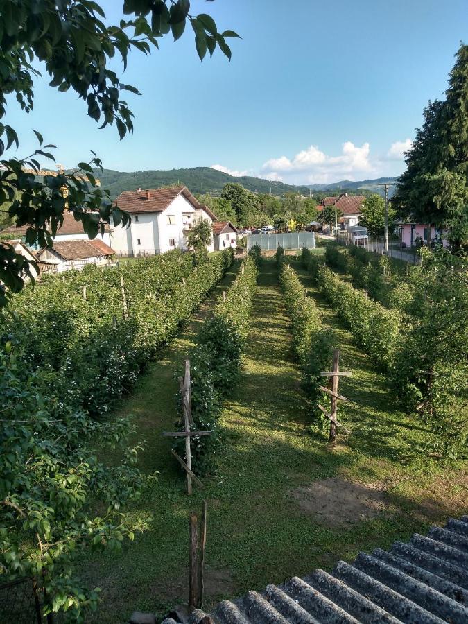 Mala Tara Apartamento Bajina Basta Exterior foto